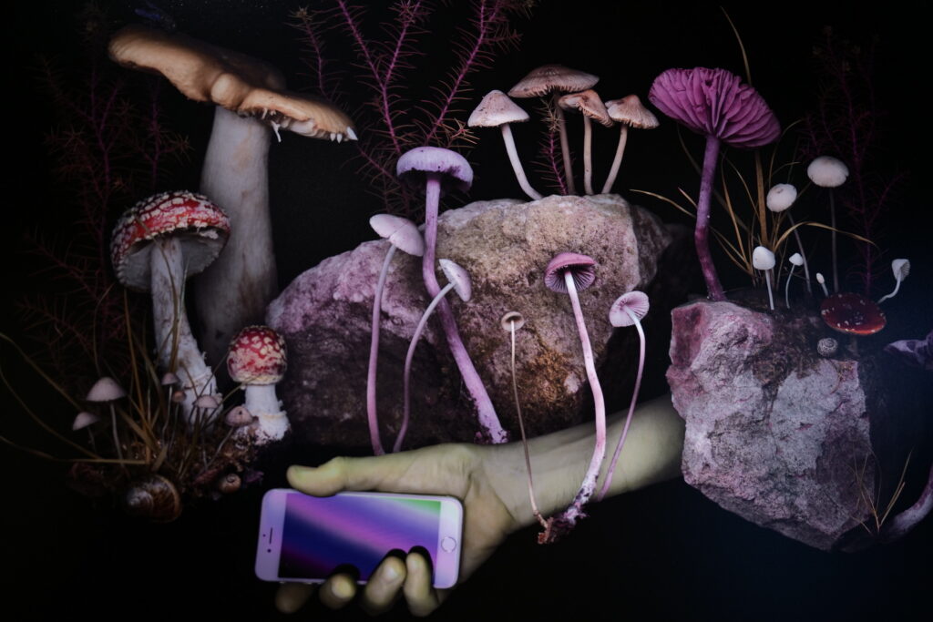 Photographic work of mushrooms growing from rocks above an outstretched hand