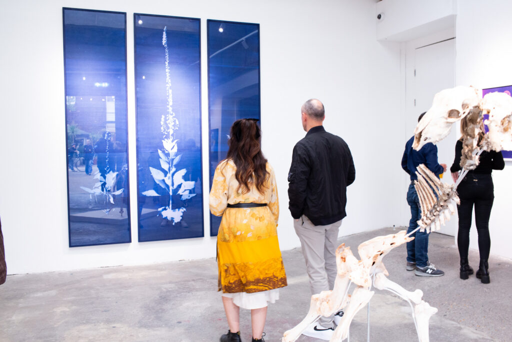 Visitors with a dog in front of a blue cyanotype triptych